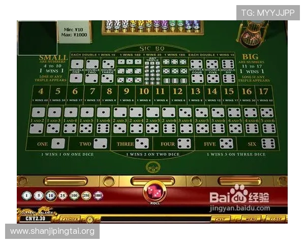 如何制定科学有效的骰宝策略以提高游戏中的盈利能力详细步骤与常用技巧全解析