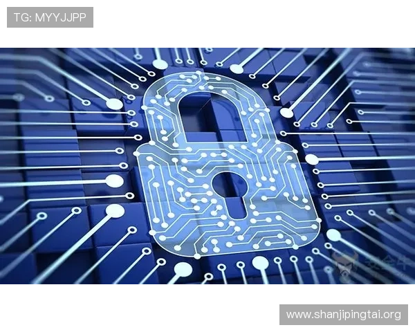 BetWay中文网页安全保障措施与隐私保护政策全面解读确保玩家信息安全与合法合规运营