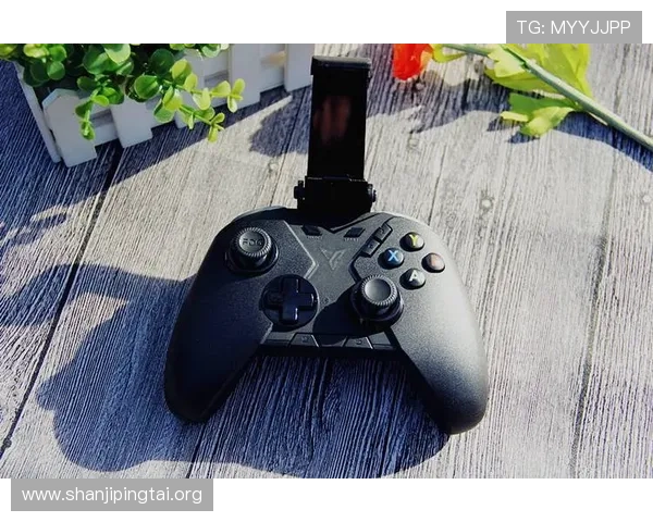 博鱼电竞如何提升玩家竞技水平，提供专业培训与实战技巧分享平台